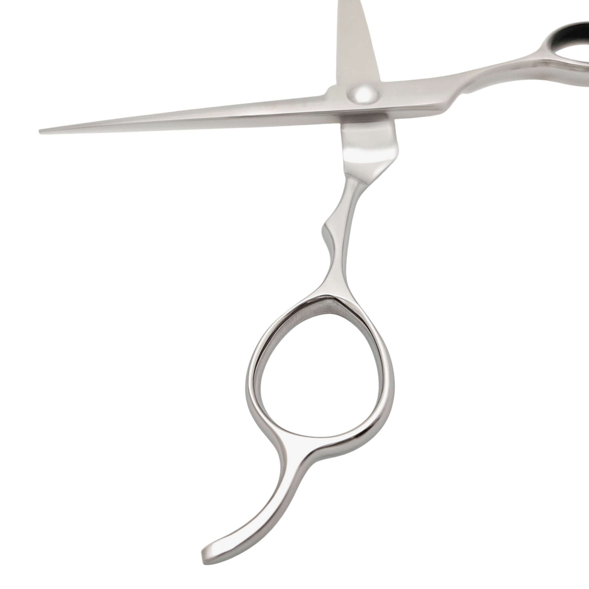 Hair cutting scissors on a white background