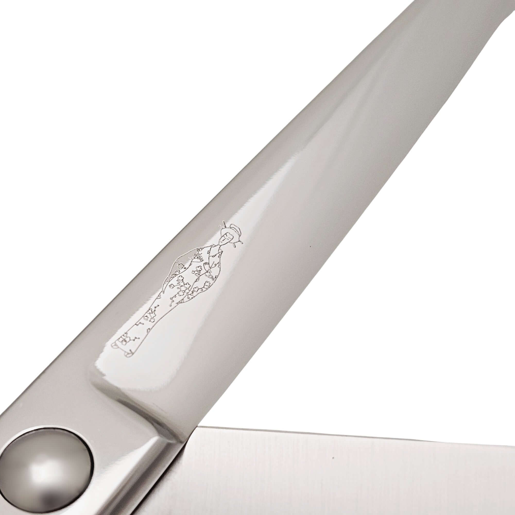 Close-up of a hair scissor blade with a brand logo on a white background