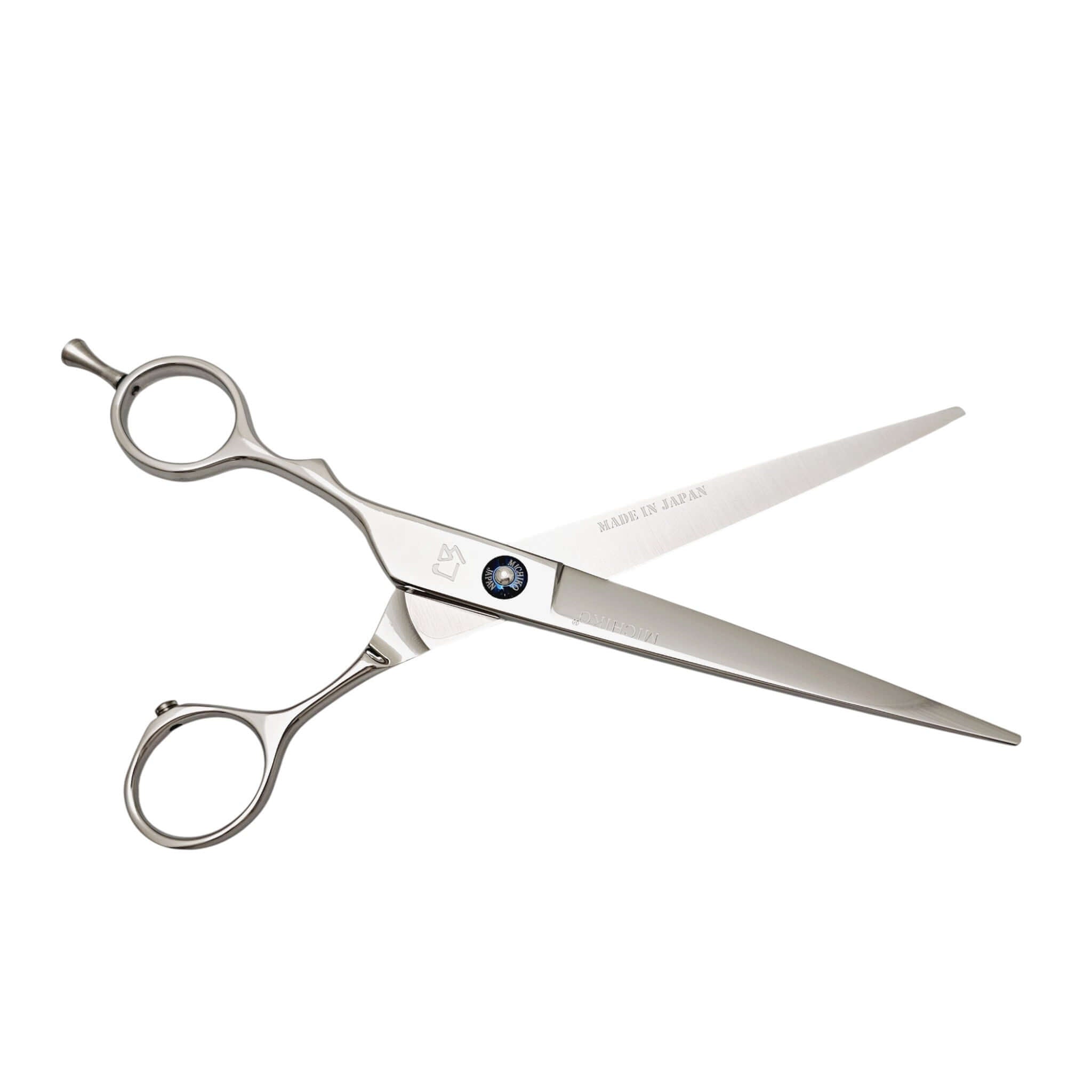 Stainless steel hair cutting shears on a white background