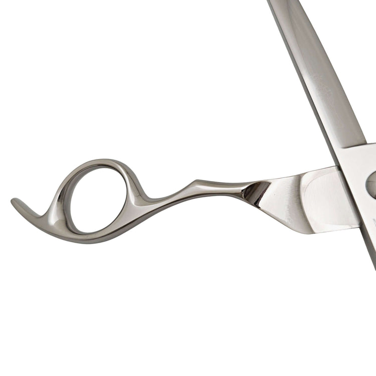 Close-up of a pair of silver hair scissors on a white background