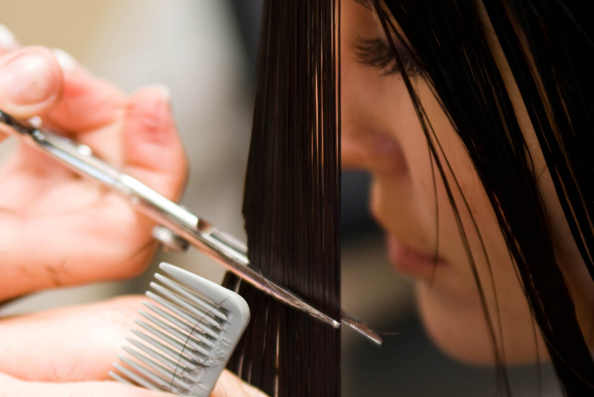 Beyond the Buzz: Unpacking 2026's Must-Have Shears, Techniques & Client Demands