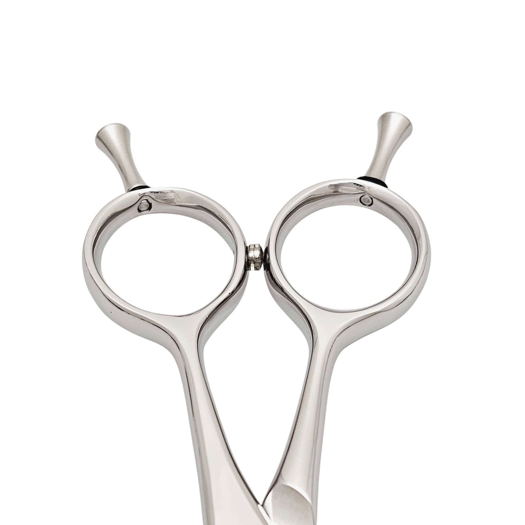 Pair of silver hair scissors handle on a white background