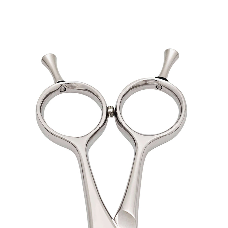 Pair of silver hair scissors handle on a white background
