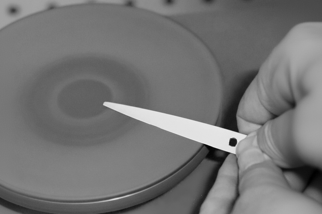 Hair Scissor Sharpening