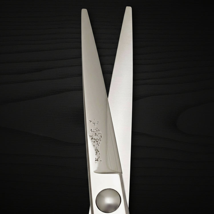 Pair of silver hair scissors on a black oak textured background