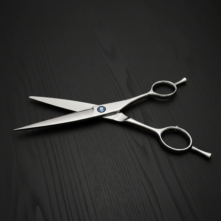 Stainless steel hair cutting shears on a black background