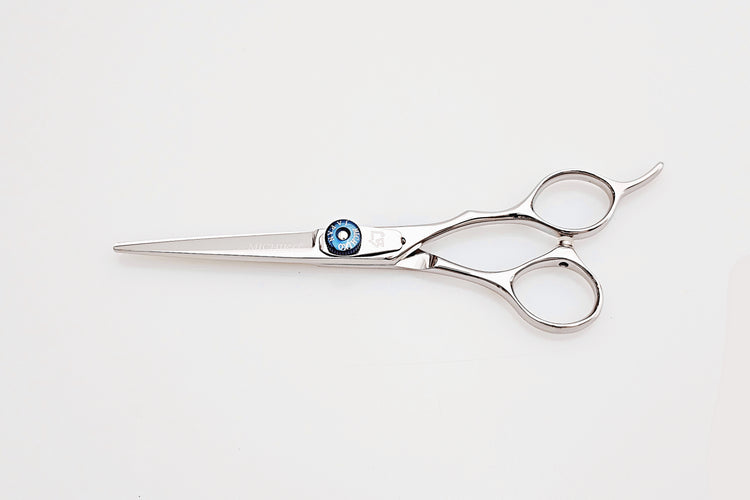 Hair cutting scissors on a white background