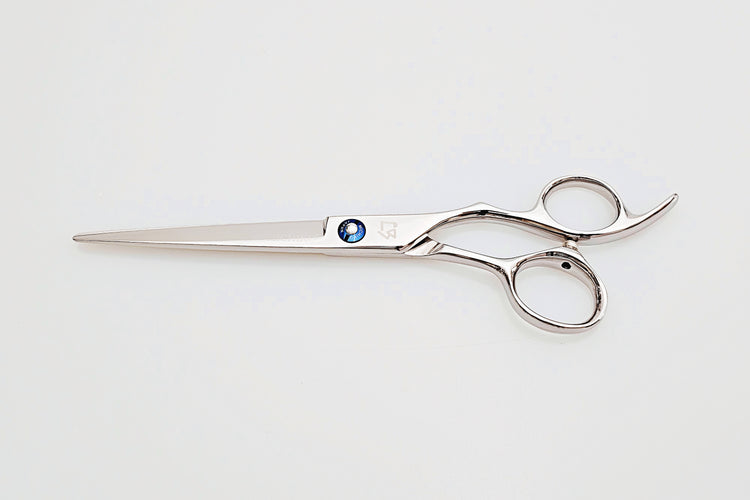 Hair cutting scissors on a white background