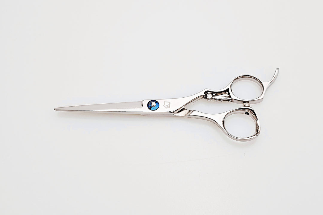 Pair of hair scissors on a white background