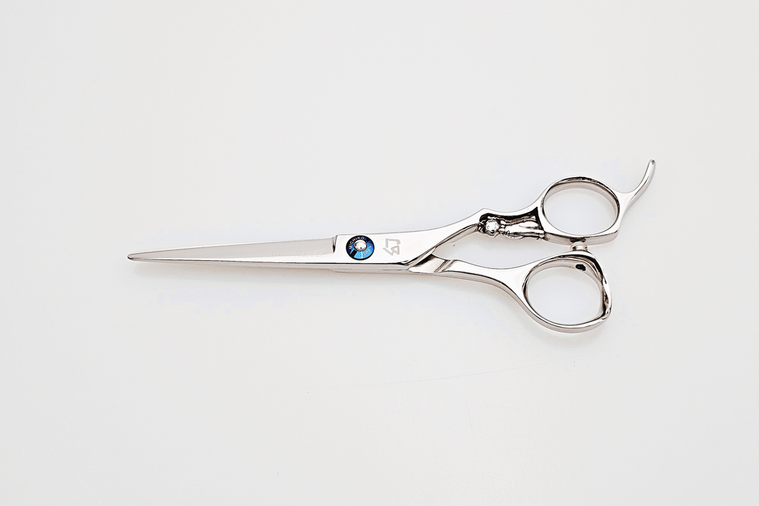 Pair of hair scissors on a white background