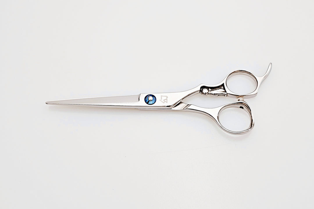 Pair of hair scissors on a white background