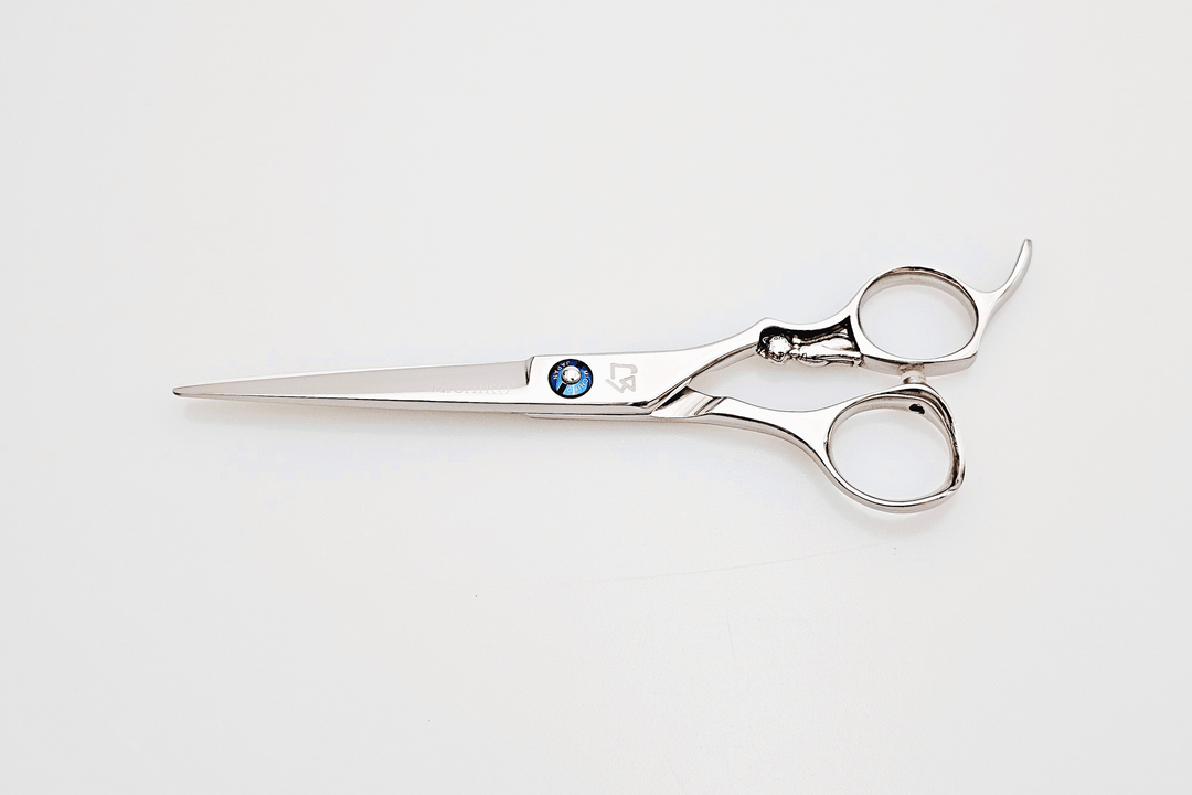 Pair of hair scissors on a white background