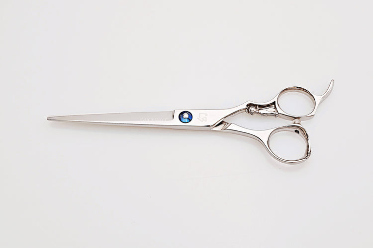 Pair of hair scissors on a white background