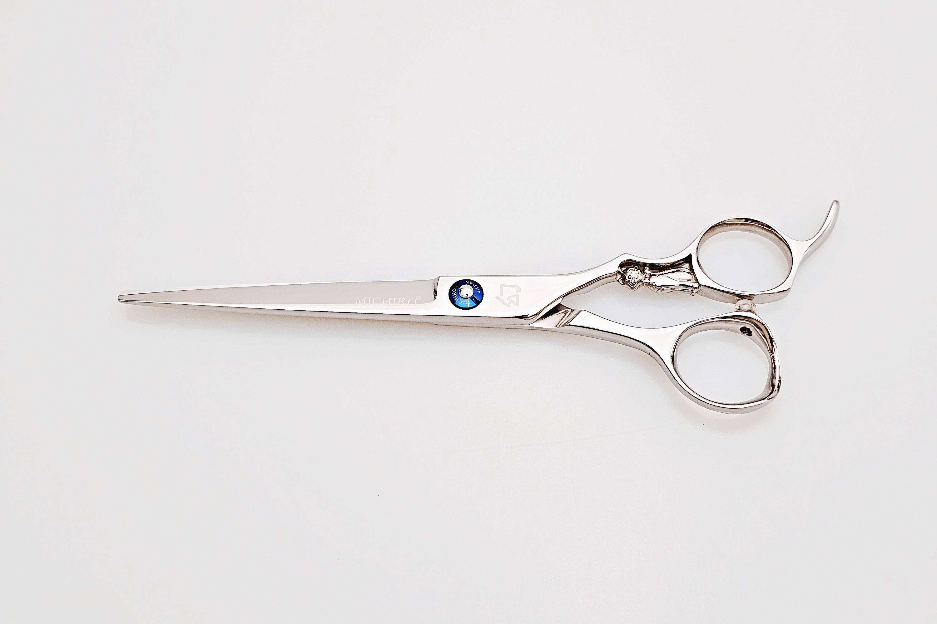 Pair of hair scissors on a white background