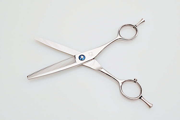Pair of hair scissors on a white background