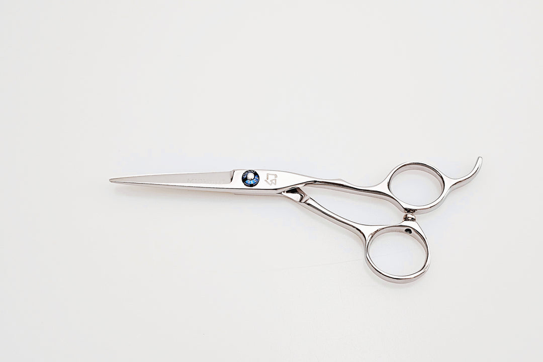 Hair cutting scissors on a white background
