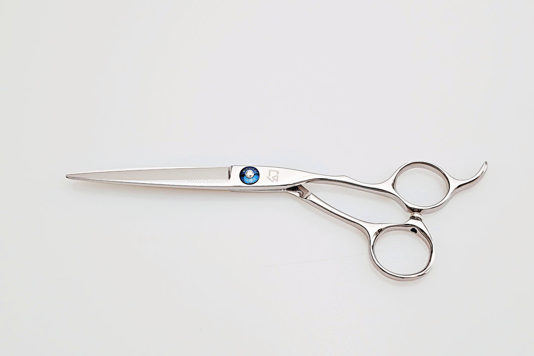 Hair cutting scissors on a white background