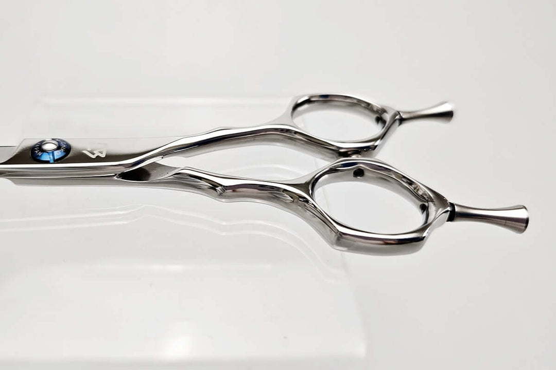 Pair of hair scissors on a white background