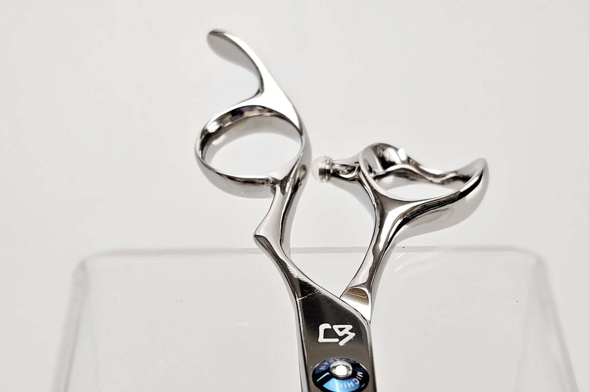 Silver hair cutting shears on a white background