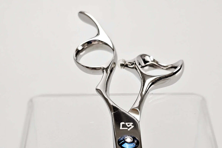 Silver hair cutting shears on a white background