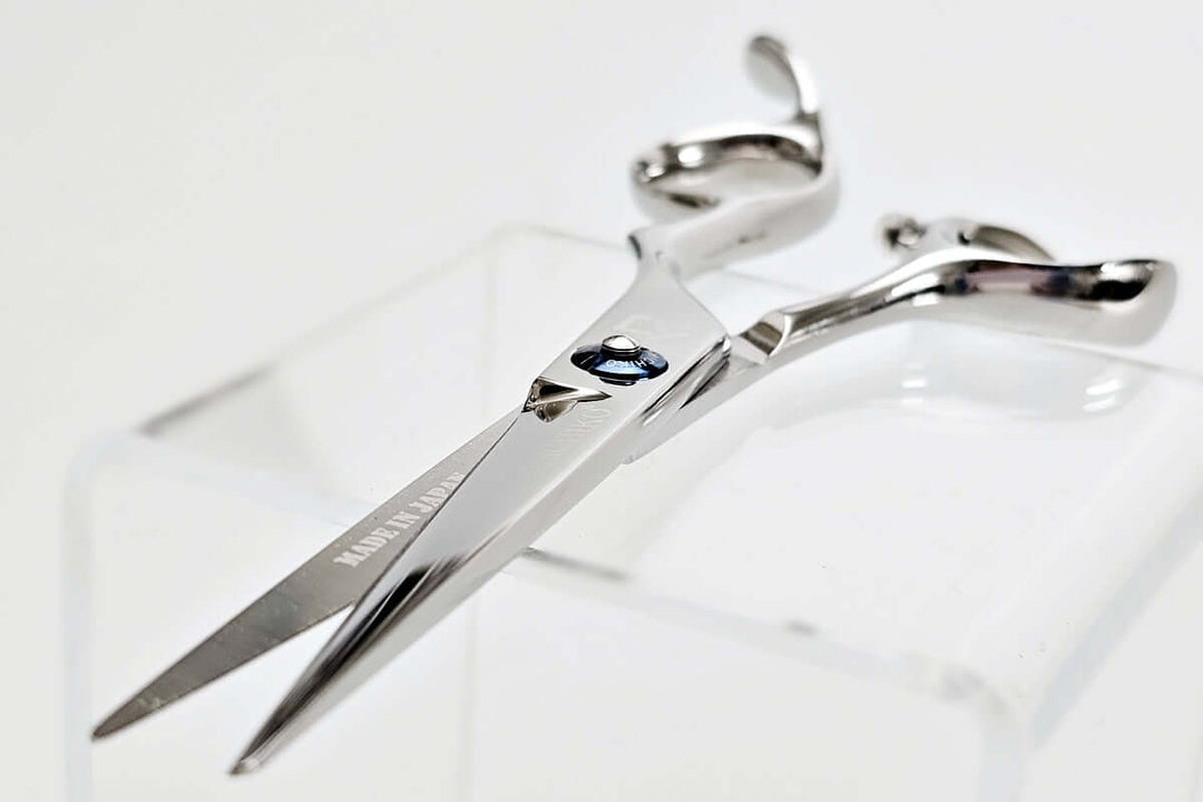 Pair of hair scissors on a white background
