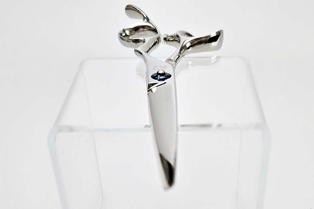 Hair scissors on a white background