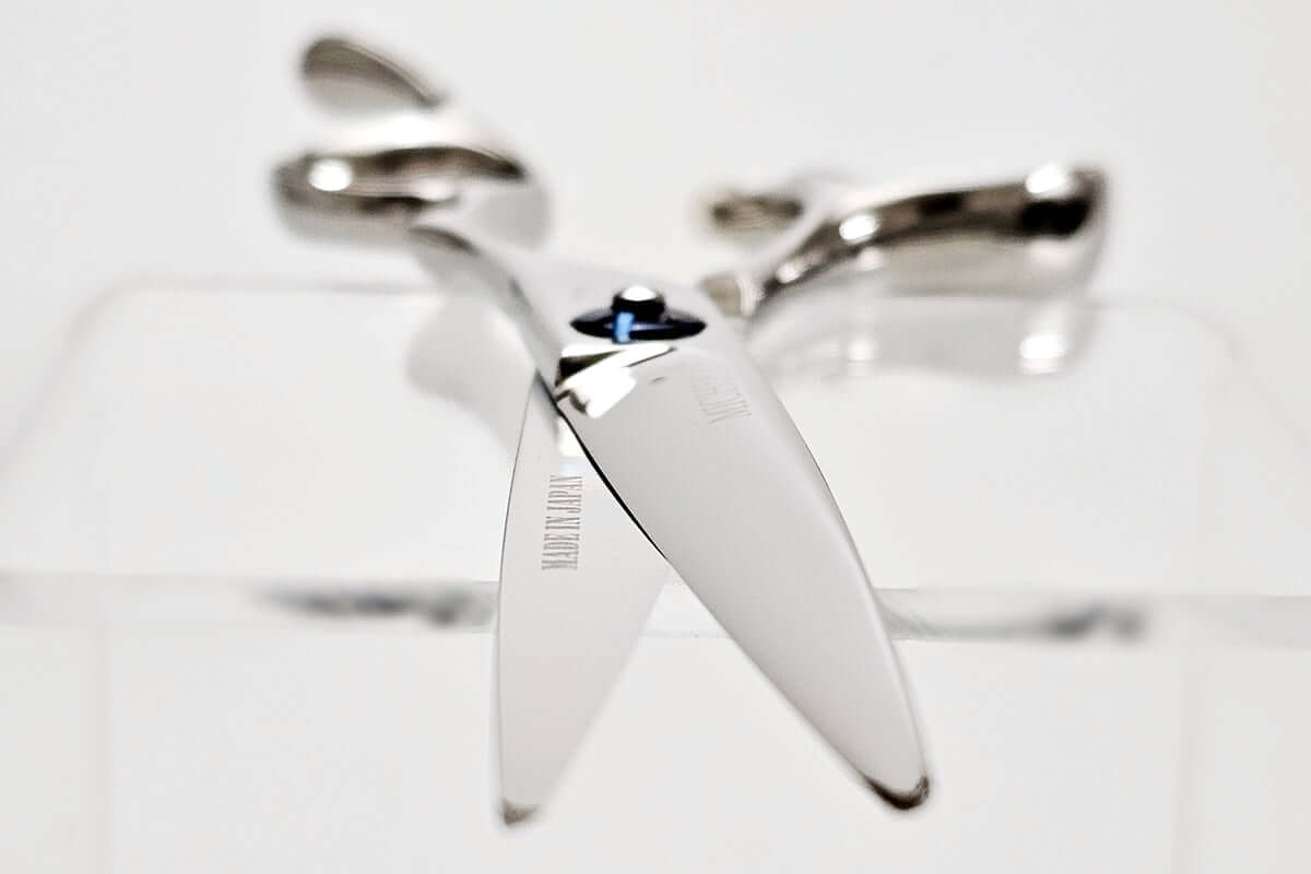 Hair scissors on a white background