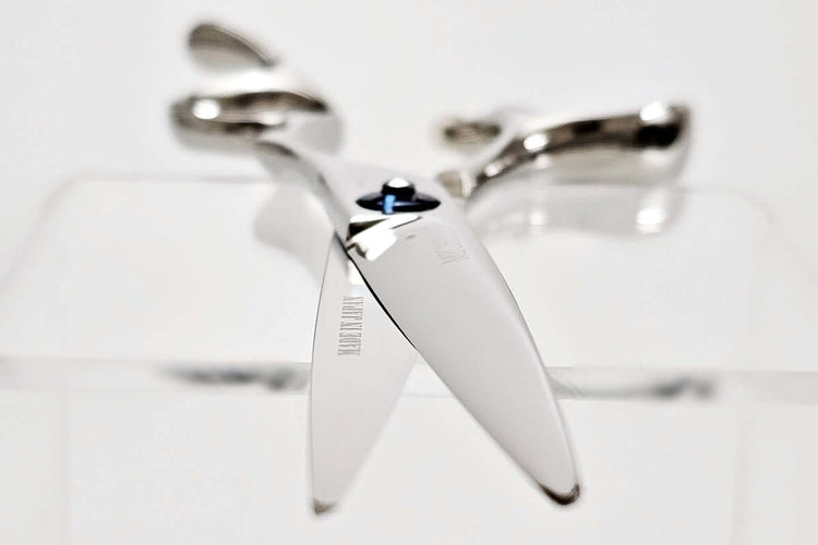 Hair scissors on a white background