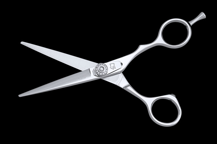 Basic Cutting Tool Japanese ANYCUT 5.5 Barber Shears