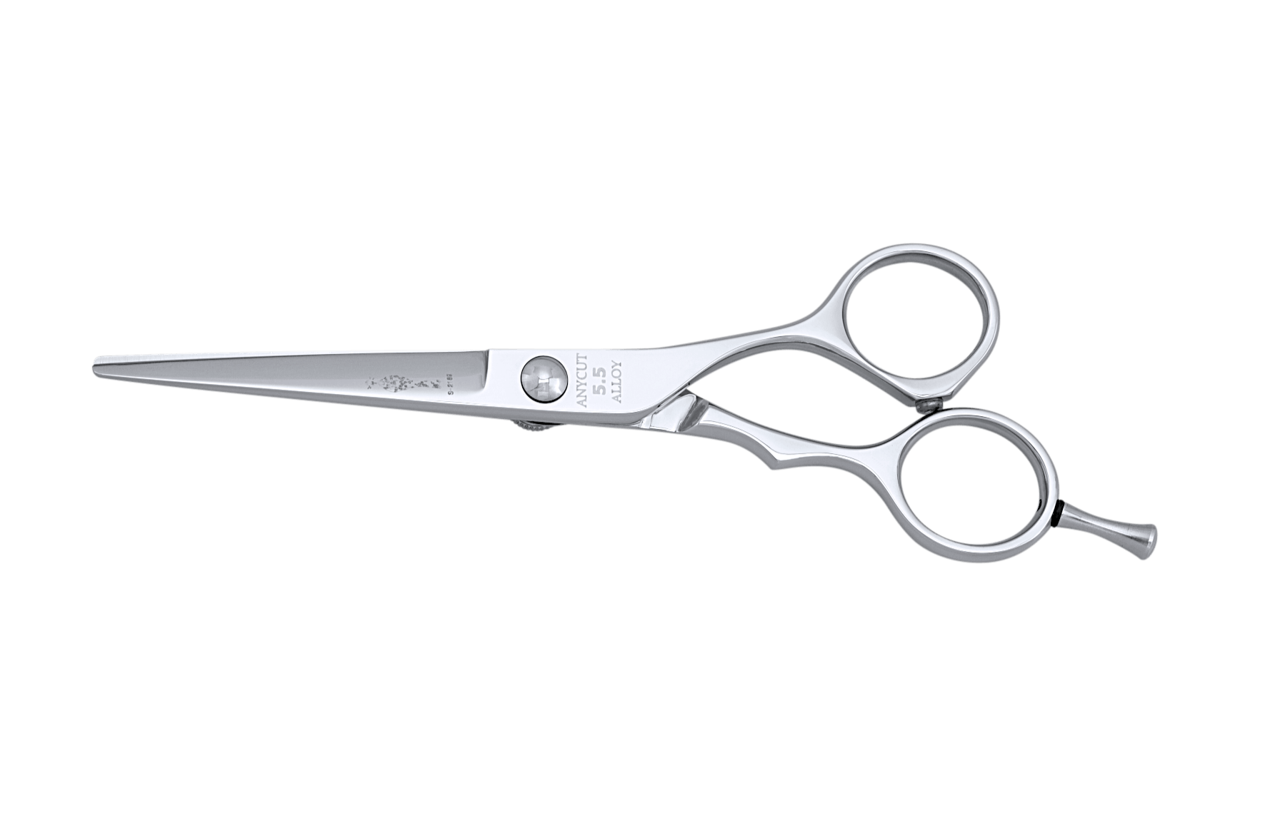 Basic Cutting Tool Japanese ANYCUT 5.5 Barber Shears