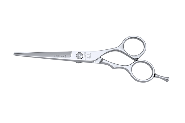 Basic Cutting Tool Japanese ANYCUT 5.5 Barber Shears