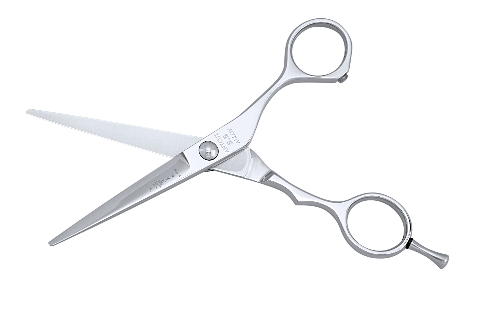 Basic Cutting Tool Japanese ANYCUT 5.5 Barber Shears