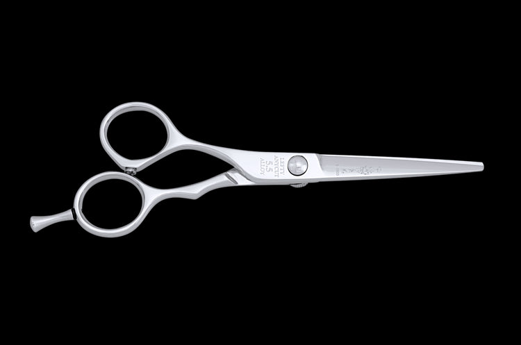 Hair Scissors LEFTY ANYCUT 5.5 Salon Shears