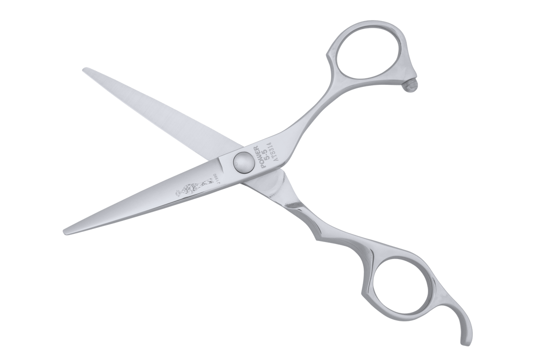 POWER 5.5 Hair Cutting Scissors Salon Shears