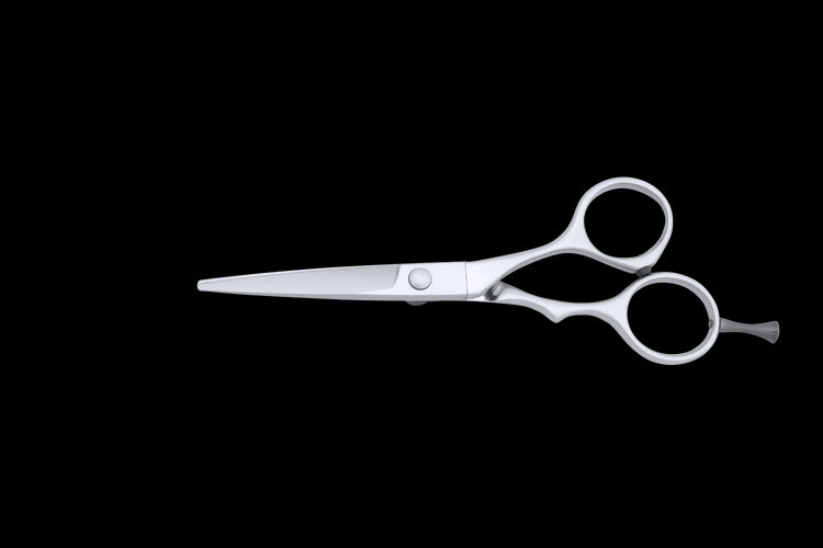 TN 500 Tungsten Shears for Precision Dry Cut