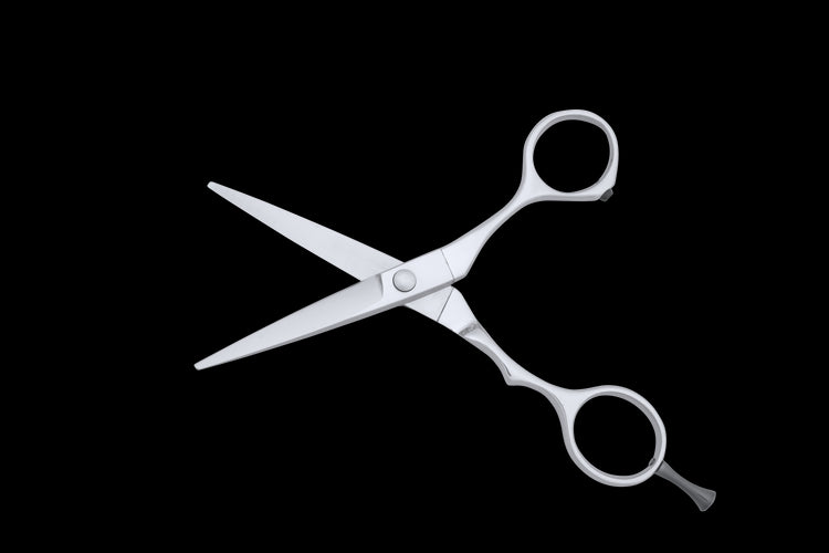 TN 500 Tungsten Shears for Precision Dry Cut