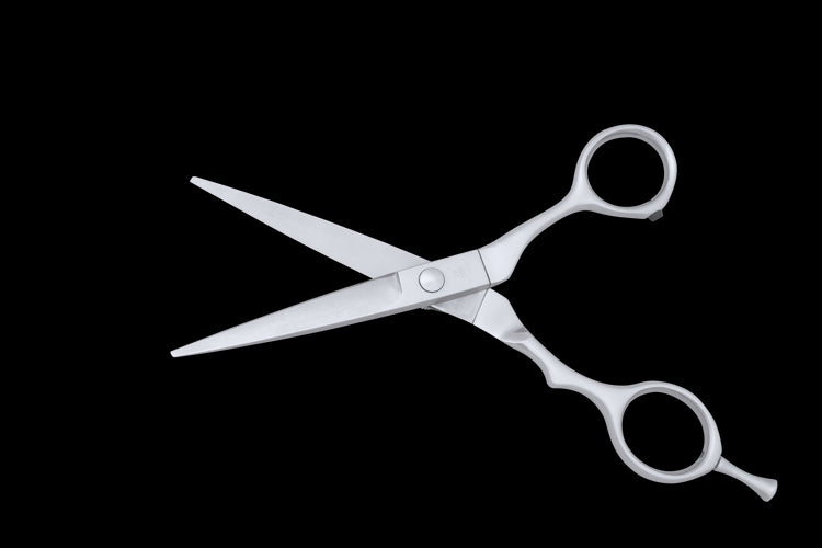 TN 550 Tungsten Dry Cut Hair Scissors